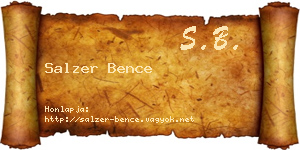 Salzer Bence névjegykártya